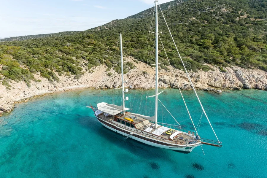 ESTRELLA DE MAR Anchored (3).jpg