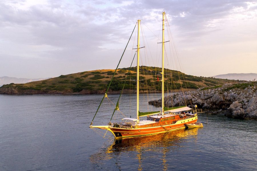 Ecce-Navigo-36