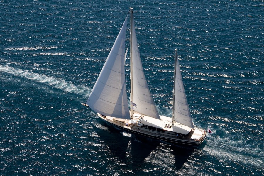 DAIMA-08.2009