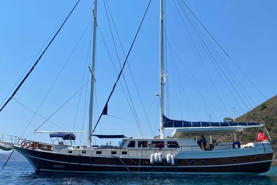 sahinoğlu1